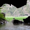 VNM TamCoc 2011APR13 084 : 2011, 2011 - By Any Means, April, Asia, Date, Month, Ninh Binh Province, Places, Tam Coc, Trips, Vietnam, Year