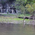 VNM TamCoc 2011APR13 093 : 2011, 2011 - By Any Means, April, Asia, Date, Month, Ninh Binh Province, Places, Tam Coc, Trips, Vietnam, Year