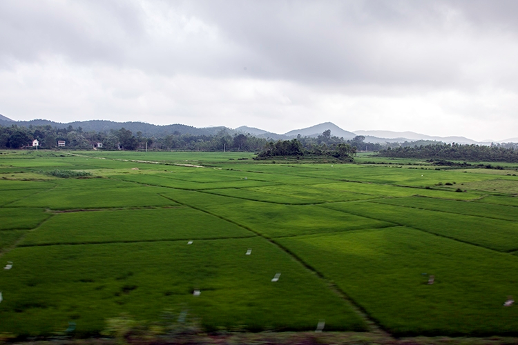 VNM TrainTrip 2011APR14 Hanoi2DaNang 012