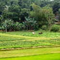 VNM_TrainTrip_2011APR14_Hanoi2DaNang_009.jpg