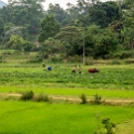 VNM_TrainTrip_2011APR14_Hanoi2DaNang_010.jpg