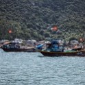 VNM ChamIsland 2011APR16 042 : 2011, 2011 - By Any Means, April, Asia, Cham Island, Date, Month, Places, Quang Nam Province, Trips, Vietnam, Year