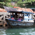 VNM ChamIsland 2011APR16 082 : 2011, 2011 - By Any Means, April, Asia, Cham Island, Date, Month, Places, Quang Nam Province, Trips, Vietnam, Year