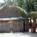 VNM ChamIsland 2011APR16 093 : 2011, 2011 - By Any Means, April, Asia, Cham Island, Date, Month, Places, Quang Nam Province, Trips, Vietnam, Year