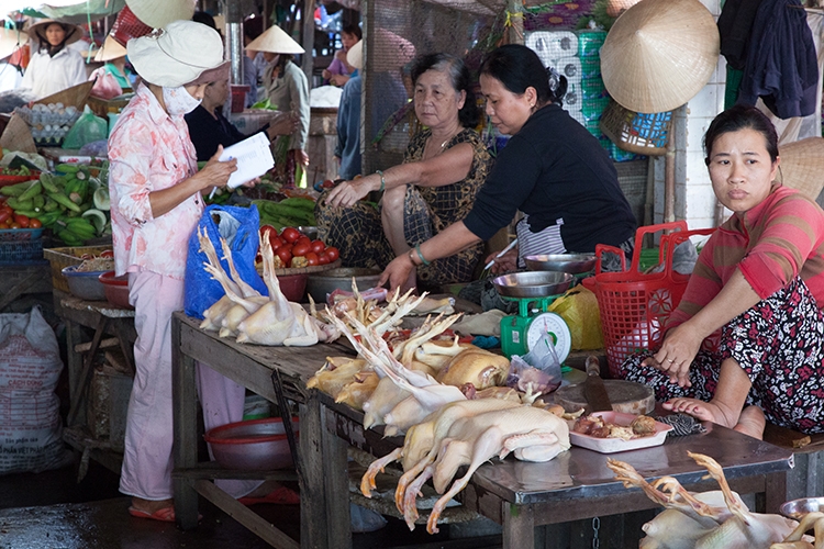 VNM HoiAn 2011APR15 OldTown 032