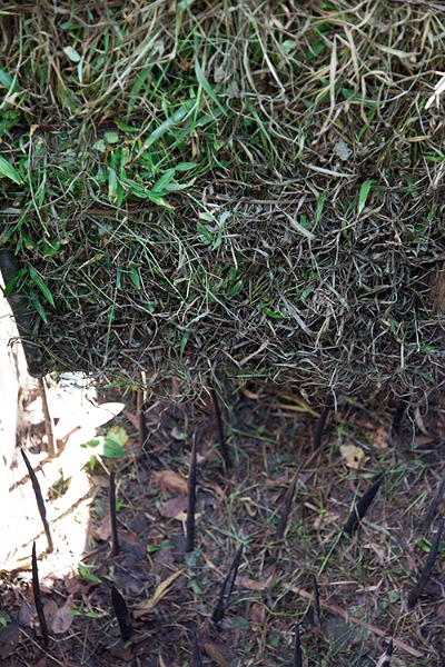 VNM CuChiTunnels 2011APR18 017