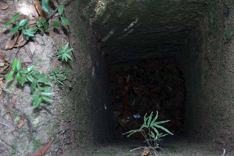 VNM CuChiTunnels 2011APR18 043