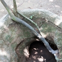 VNM_CuChiTunnels_2011APR18_023.jpg