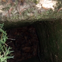 VNM_CuChiTunnels_2011APR18_044.jpg