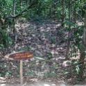 VNM CuChiTunnels 2011APR18 045 : 2011, 2011 - By Any Means, April, Asia, Cu Chi Tunnels, Date, Month, Places, Tay Ninh Province, Trips, Vietnam, Year