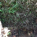 VNM_pTN_CuChiTunnels_2012OCT24_006.jpg