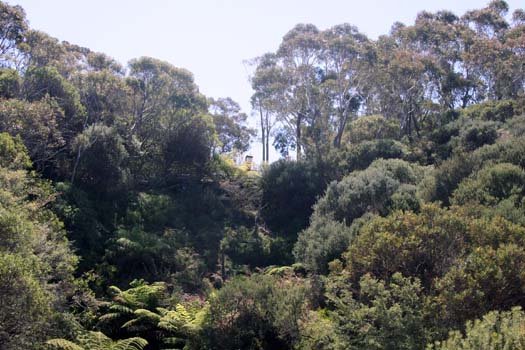 AUS NSW BlueMountains 2010SEPT30 ElysianRock 003