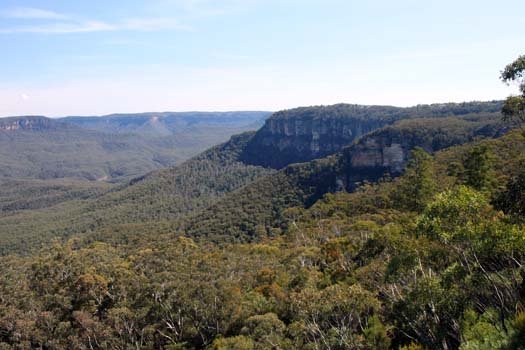 AUS NSW BlueMountains 2010SEPT30 WentworthFalls 011