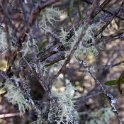 AUS_NSW_BlueMountains_2010SEPT30_ThreeSisters_023.jpg