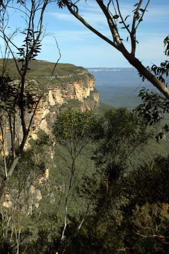 AUS NSW BlueMountains 2010SEPT30 WentworthFalls 005