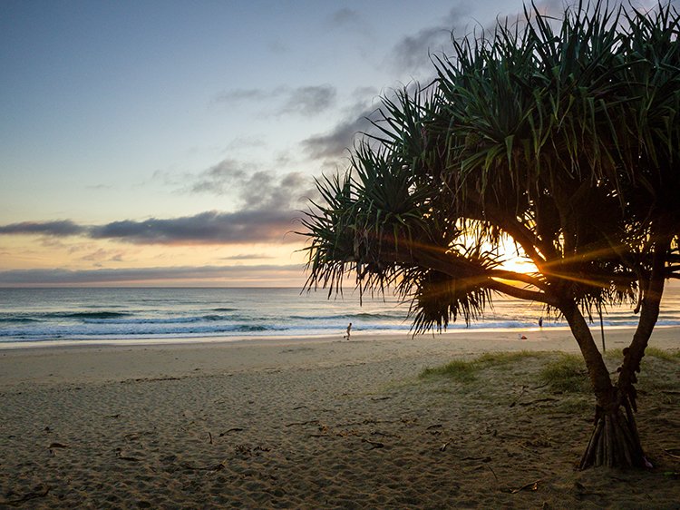 AUS NSW Kingscliff 2018JAN02 JackBaylissPark 001