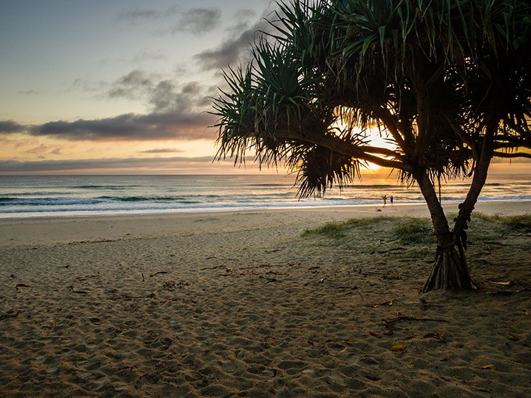 AUS NSW Kingscliff 2018JAN02 JackBaylissPark 002