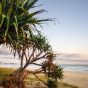 AUS_NSW_Kingscliff_2018JAN02_JackBaylissPark_004.jpg