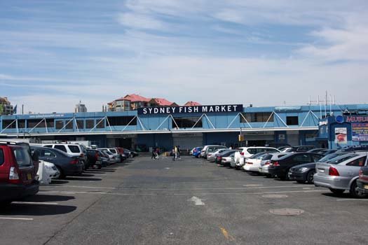 AUS NSW Sydney 2010SEPT25 FishMarkets 001