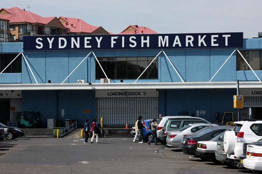 AUS NSW Sydney 2010SEPT25 FishMarkets 002