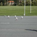 AUS_NSW_TweedHeadsSouth_2008SEPT20_NetballGF_016.jpg