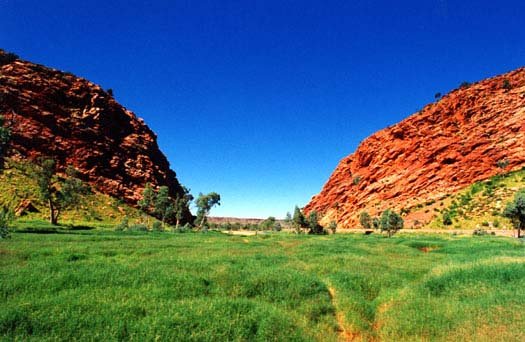 AUS NT AliceSprings 2001 HeavitreeGap 001