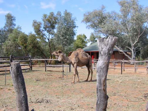 AUS NT AliceSprings 2001JUL14 TelegraphStation 004