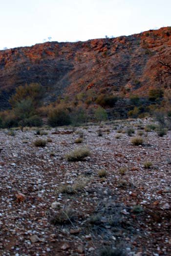 AUS NT AliceSprings 2004MAY20 003