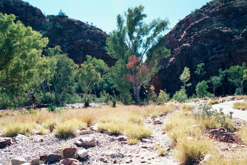 AUS NT ElleryCreekBigHole 2001JUL11 002