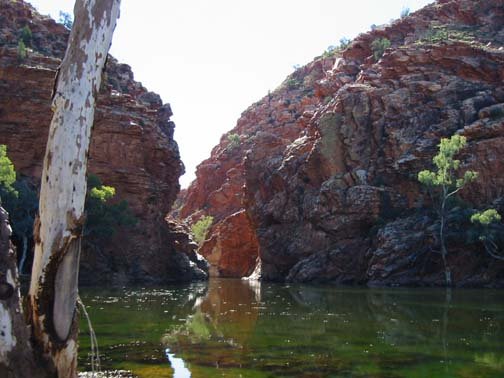 AUS NT ElleryCreekBigHole 2001JUL11 005