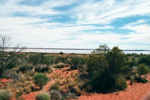 AUS NT MtConner 2001JUL12 Lookout Claypan 003