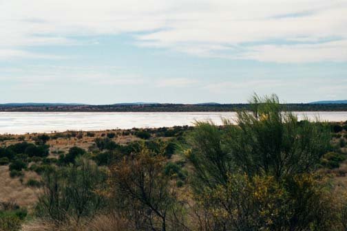 AUS NT MtConner 2001JUL12 Lookout Claypan 005