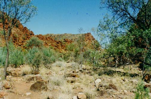 AUS NT RossRiver 1991DEC 010