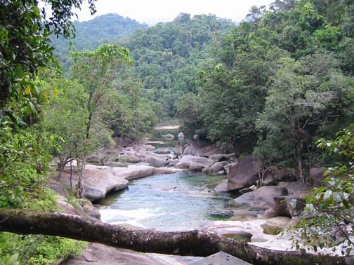 AUS QLD Babinda 2001JUL17 Boulders 004