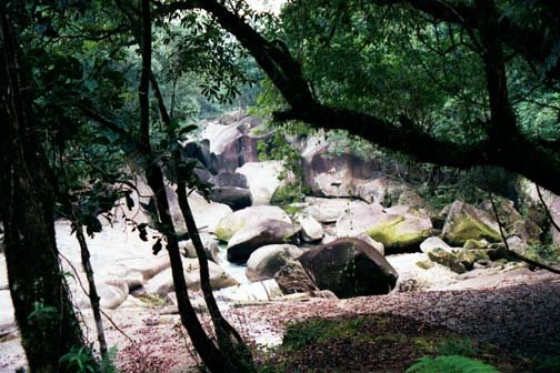 AUS QLD Babinda 2001JUL17 Boulders 005