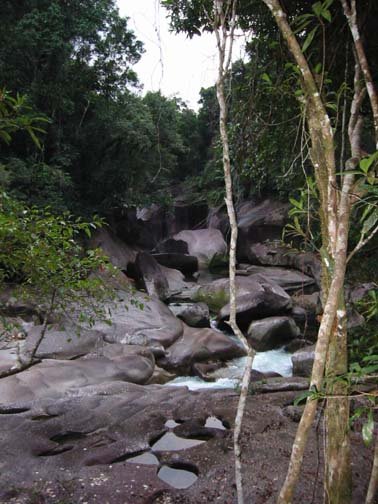 AUS QLD Babinda 2001JUL17 Boulders 007