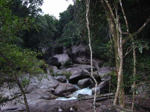 AUS QLD Babinda 2001JUL17 Boulders 008