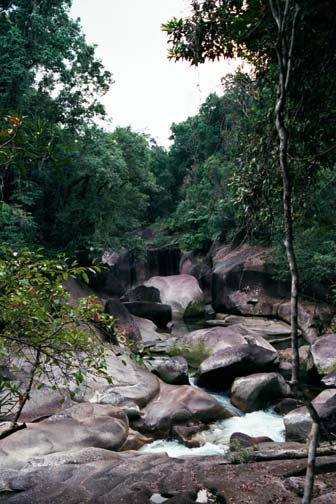 AUS QLD Babinda 2001JUL17 Boulders 009