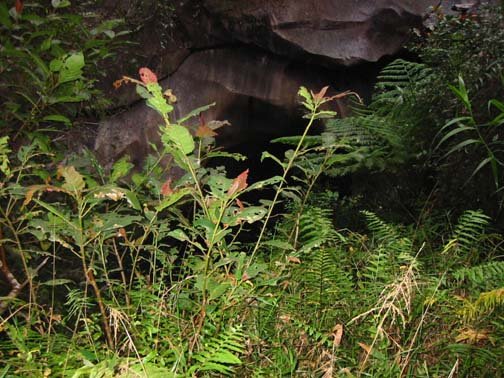 AUS QLD Babinda 2001JUL17 Boulders 016