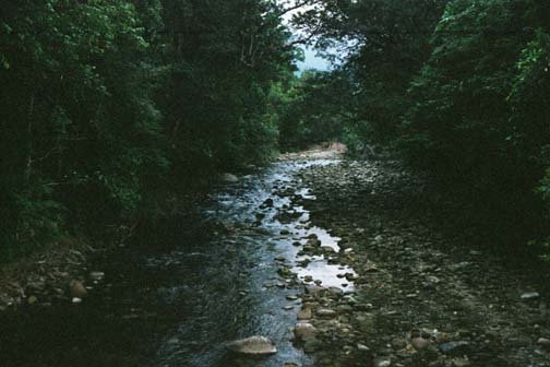 AUS QLD Babinda 2001JUL17 Boulders 017