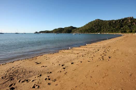 AUS QLD MagneticIsland 2008JUL19 HorseshoeBay 016