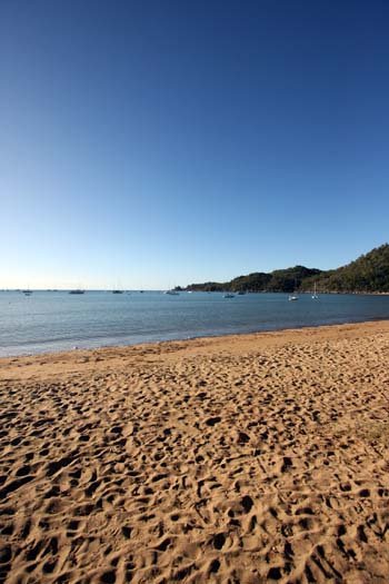 AUS QLD MagneticIsland 2008JUL19 HorseshoeBay 018