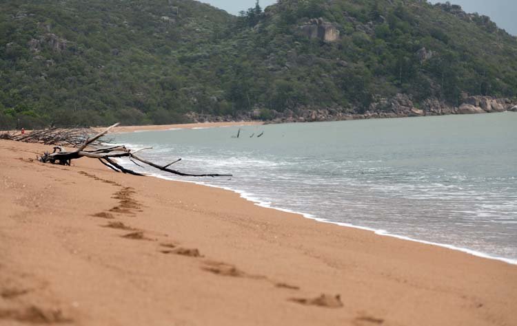 AUS QLD MagneticIsland 2010OCT21 008