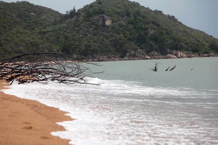 AUS QLD MagneticIsland 2010OCT21 009