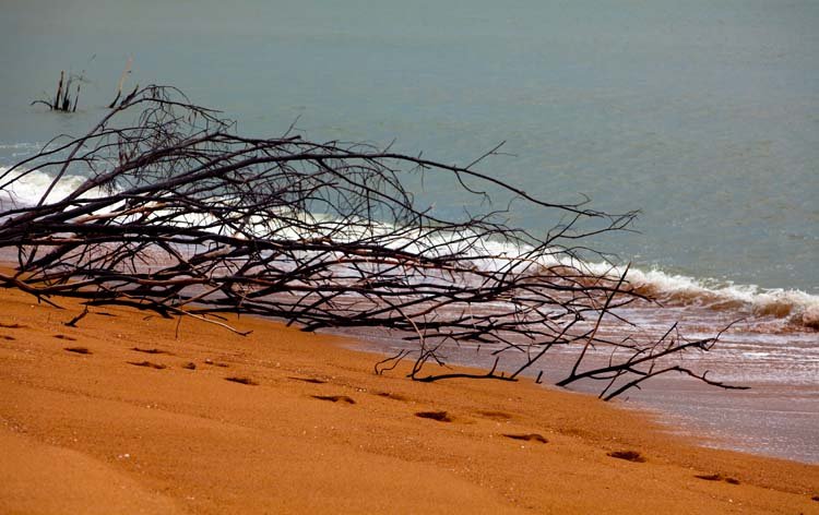 AUS QLD MagneticIsland 2010OCT21 011