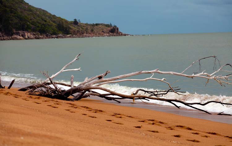 AUS QLD MagneticIsland 2010OCT21 012