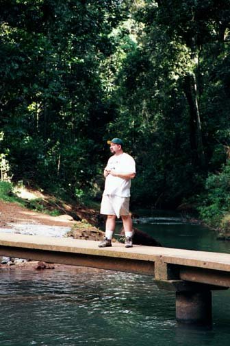 AUS QLD MalandaFalls 2001JUL17 002