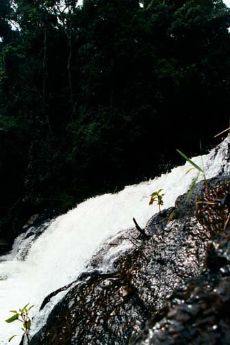 AUS QLD MalandaFalls 2001JUL17 006