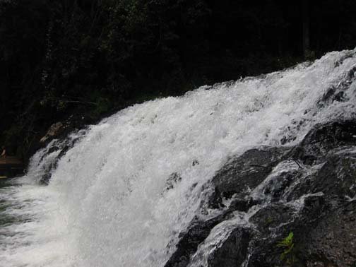 AUS QLD MalandaFalls 2001JUL17 007