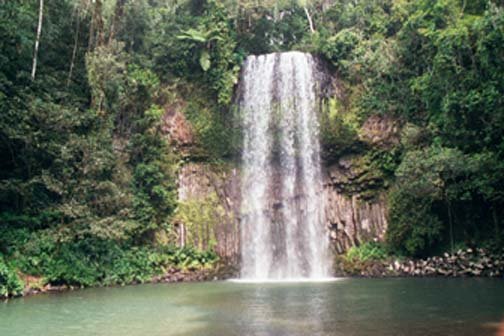 AUS QLD MillaaMillaaFalls 2001JUL17 002